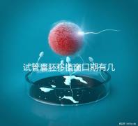 試管囊胚移植窗口期有幾天看這，弄明白什么時候更易著床