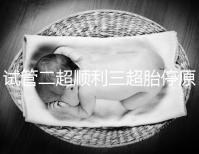 試管二超順利三超胎停原因分析，多半和保胎藥停早了有關