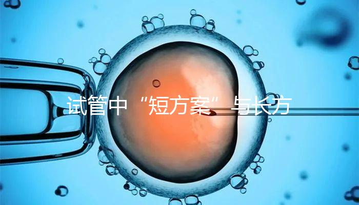 試管中“短方案”與長方案區別分析，時間并非唯一差異