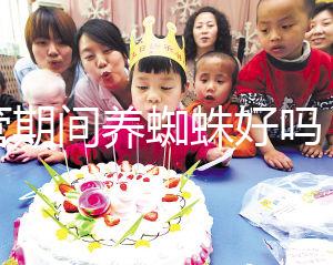 試管期間養(yǎng)蜘蛛好嗎？人們告訴你，這些影響應(yīng)該早知道