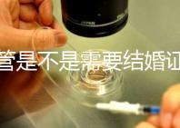 試管是不是需要結(jié)婚證,試管嬰兒是不是需要結(jié)婚證