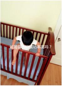 試管嬰兒的成功率高嗎？卵泡質量或為關鍵因素