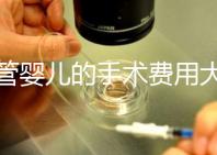 試管嬰兒的手術(shù)費用大概是多少