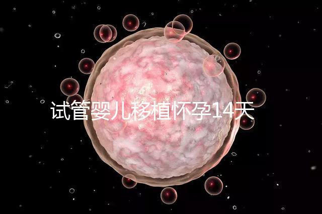 試管嬰兒移植懷孕14天，還能吃巧克力餅干嗎？