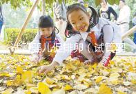 試管嬰兒促排卵(試管嬰兒促排卵針打多久可以取卵)