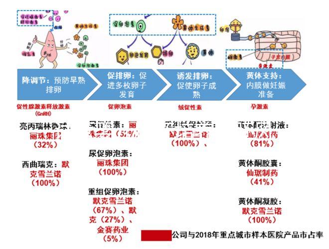 試管嬰兒優胚培養囊胚風險特別大，逃不掉這3大原因