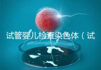 試管嬰兒檢查染色體(試管嬰兒檢查染色體有什么作用)