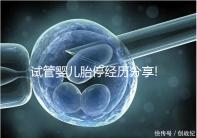 試管嬰兒胎停經(jīng)歷分享!3個小經(jīng)驗讓你輕松告別胚胎停止發(fā)育
