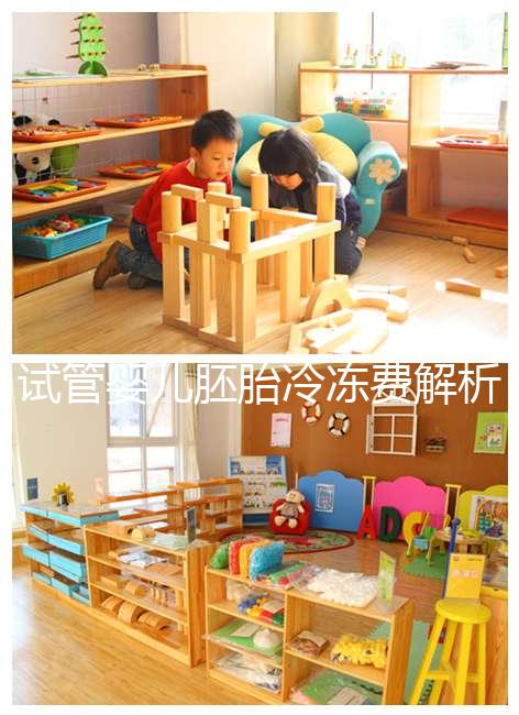 試管嬰兒胚胎冷凍費解析，一年下來大概要花這么多