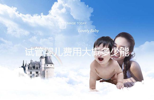 試管嬰兒費用大概多少能出來報銷（試管嬰兒費用大概多少能出來報銷醫保）