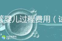 試管嬰兒過(guò)程費(fèi)用(試管嬰兒全過(guò)程費(fèi)用)