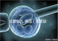 試管嬰兒 美國（試管嬰兒 美國 排名）
