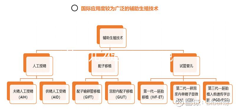 試管嬰兒2促3移，說說5點我的成功懷孕經驗