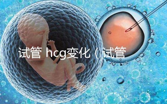 試管 hcg變化(試管hcg變化)
