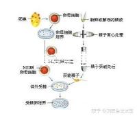 輪狀病毒疫苗雖非終身免疫,寶寶接種的好處不止一點
