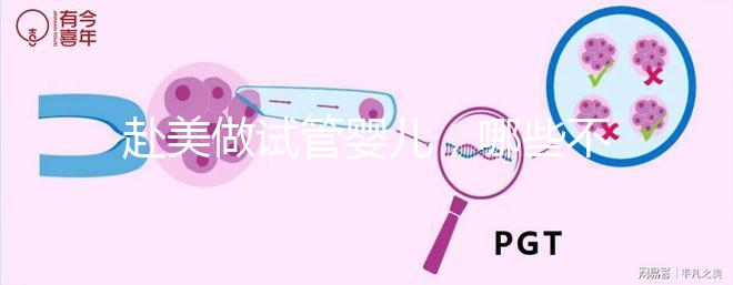 赴美做試管嬰兒，哪些不孕類問題更容易成功？