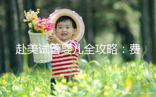 赴美試管嬰兒全攻略：費(fèi)用、流程、成功率一次看懂