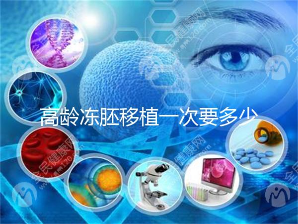 高齡凍胚移植一次要多少錢？解凍費只有幾千元真的不貴