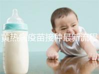 黃熱病疫苗接種最新流程詳解,這八大步驟你需要了解