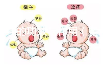 黃連的功效與作用（黃連片對男性性功能的效果）