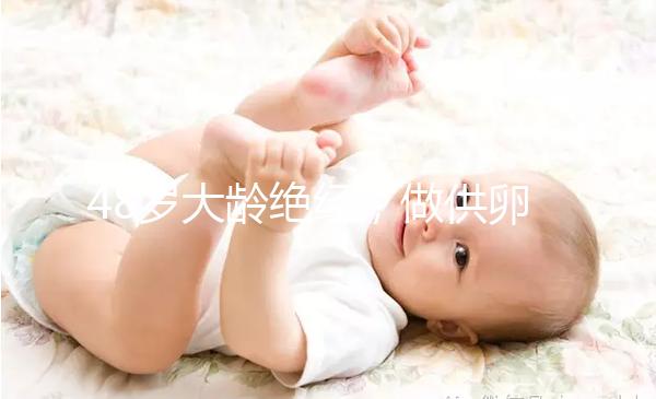 48歲大齡絕經(jīng)，做供卵試管嬰兒的成功率有多高？