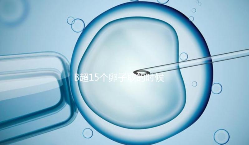 B超15個卵子取的時候只取了8個有原因的卵子，看起來不正常很清楚