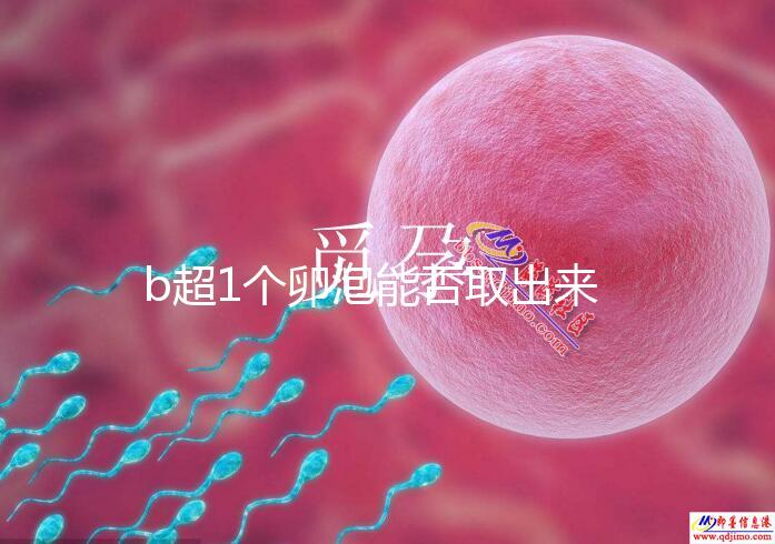 b超1個卵泡能否取出來分人，質(zhì)量好或有一定受孕幾率