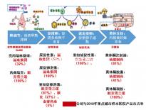 3分鐘帶你弄懂試管超長(zhǎng)方案是什么意思!別再傻傻分不清了