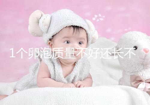 1個(gè)卵泡質(zhì)量不好還長不大,如何提高試管嬰兒懷孕成功率?