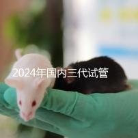 2024年國內三代試管成功率高嗎？附試管成功率高的原因清單