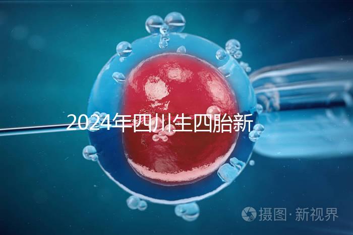 2024年四川生四胎新政策罰款多少分區，答案在這里自取