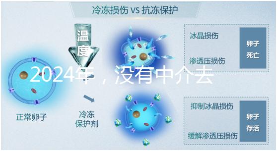 2024年，沒有中介去泰國做試管嬰兒？他們有必要這么說嗎？...