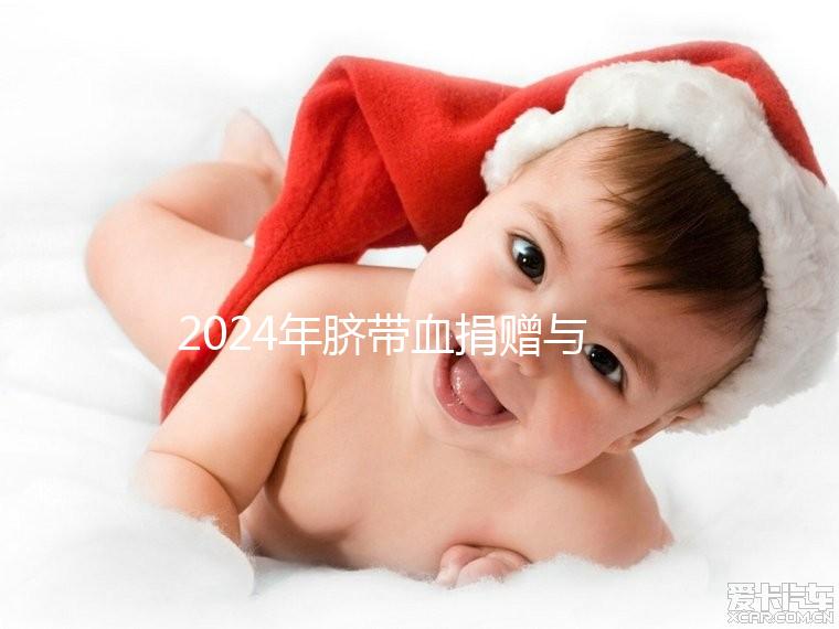 2024年臍帶血捐贈與自存的區別來襲，哪個是好的揭秘？