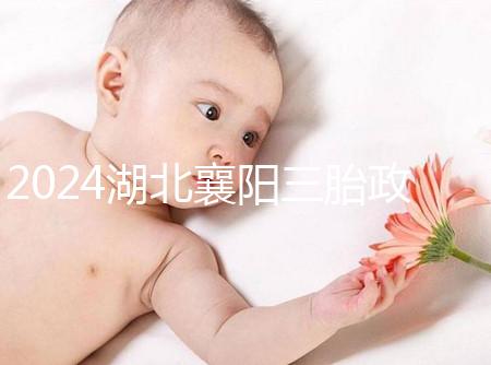 2024湖北襄陽三胎政策最新消息速覽，國家獎勵1萬購房補貼