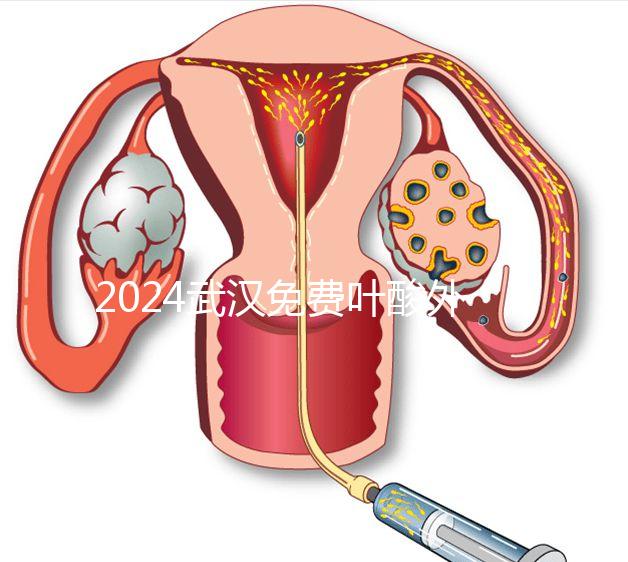 2024武漢免費葉酸外國人可以領取,符合條件就來江漢區