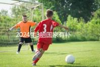 2024生3胎國家有補貼多少錢、在哪領全囊括，最高可達...