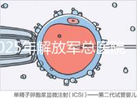 2025年解放軍總醫(yī)院第七醫(yī)學(xué)中心做試管嬰兒的費(fèi)用明細(xì)，現(xiàn)在做試管多少錢？