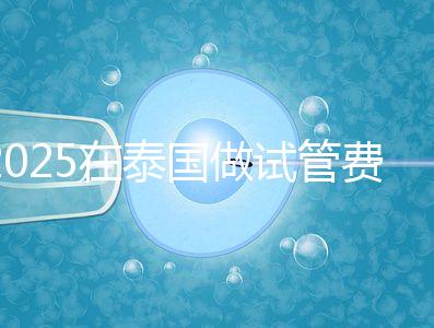 2025在泰國做試管費用預(yù)估，助孕一次不到10萬
