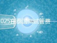 2025在泰國做試管費用預估,助孕一次不到10萬