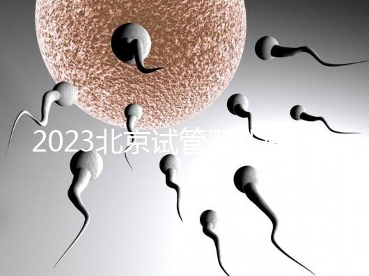 2023北京試管嬰兒醫(yī)院大全，助孕成功率排名前十公布