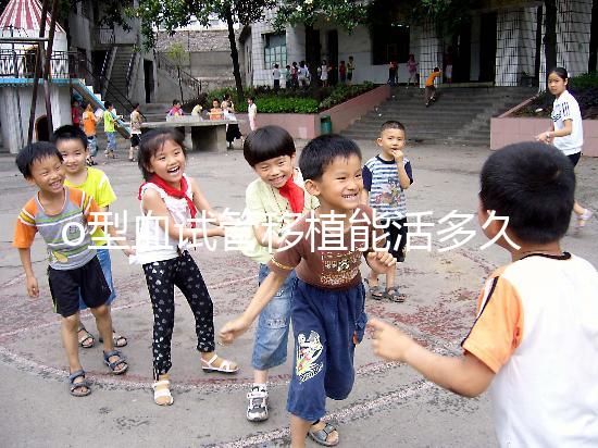 o型血試管移植能活多久？壽命長(zhǎng)的關(guān)鍵在于這些點(diǎn)