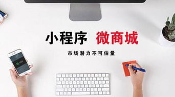 今日頭小程序定制開(kāi)發(fā) 天助互聯(lián) 小程序